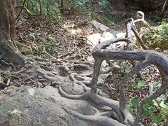 -梧桐山风景名胜区