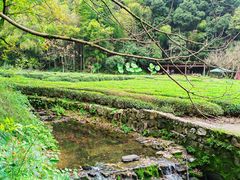 -杭州西湖风景名胜区-三生石