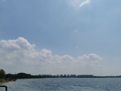 -丁香湖公园