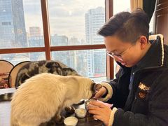 -蓝鲸·缅因猫舍