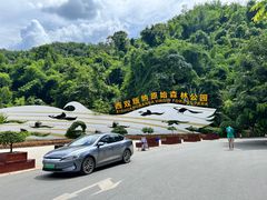 -西双版纳原始森林公园