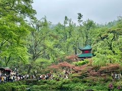 -岳麓山风景名胜区