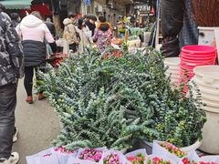 -循礼门鲜花花市(武汉循礼门店)