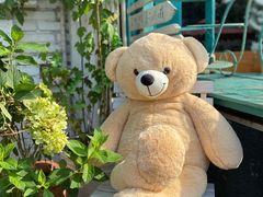 -一杯海(国际海水浴场店)