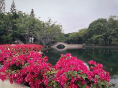 -深圳龙潭公园