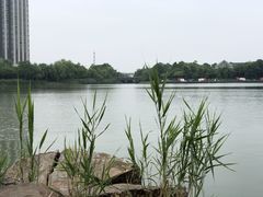 -南翔镇银翔湖公园