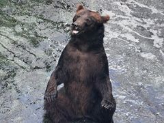 -深圳野生动物园