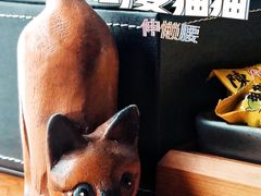 -梵猫·新养生(湛江鼎盛店)