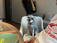 -上和臻品中国菜(花园街店)