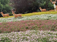 -东方绿舟景区
