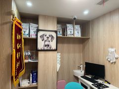 -恒幸动物医院·急重症转诊中心·神经内外科·CT核磁