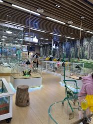 -小象动悟公园(龙湖亦庄天街店)
