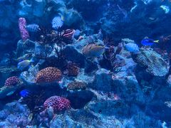 -海合安成都极地海洋公园