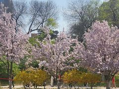 -元大都城垣遗址公园