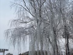 -黑龙江扎龙生态旅游区