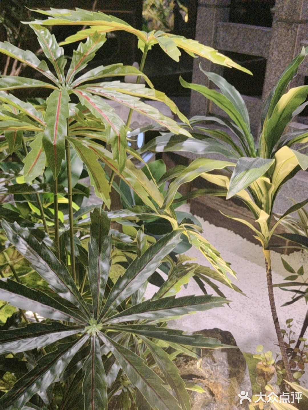 有三个小船可以定，环境很好，刚装修完的
