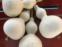 -马陆小张葡萄园农家乐