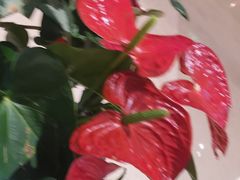 -高邮面馆(明瓦廊店)
