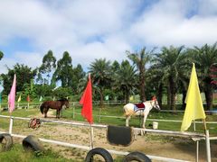 -佛冈森波拉度假区