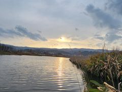 -阳宗海湿地