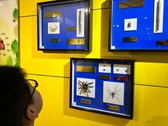 -上海昆虫博物馆