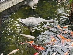 -鹅公村·国家非遗传承(荔湾店)