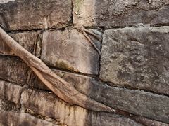 -重庆十八梯传统风貌区