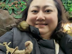 -上海大自然野生昆虫馆(东方明珠·爬宠昆虫探索中心)