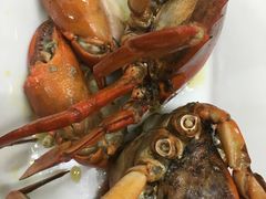 -莲花公园煎蟹(总店)