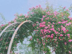 -尚贤河湿地