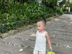 -成都市活水公园