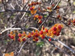 -云峰山自然风景区