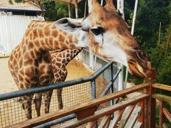 -泉州海丝野生动物世界