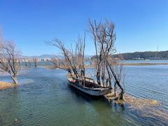 -洱海月湿地公园