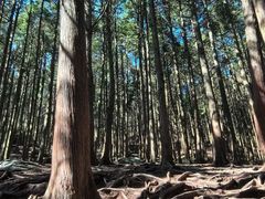-庐山风景名胜区