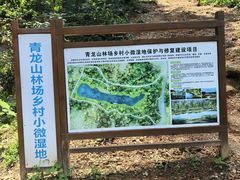 -青龙山国家森林公园