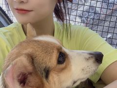 -怪兽屋·羊驼·猫咖·狗咖(俊华广场店)