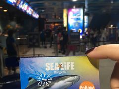 -暹罗海洋世界