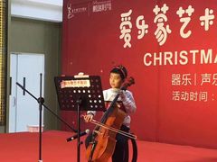 -爱乐蒙艺术·古筝 钢琴 声乐(科华校区)