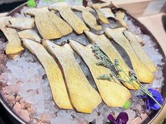 见手青-芸山季·云南山珍菌火锅(宝能环球汇店)