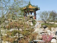 -武清南湖绿博园