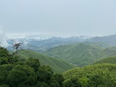 -莫干山风景区