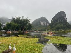 -靖西鹅泉风景区
