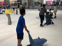 -TheRink大零溜冰场(IFS国金中心店)