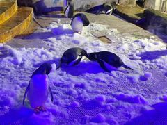 -成都浩海立方海洋公园