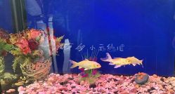 -尚逸男士理发馆·专注男发