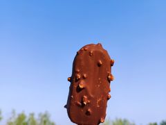 -同銮特种养殖场·龙虾垂钓