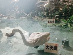 -吉林省自然博物馆