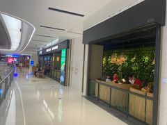 -大头椰·椰子鸡火锅(桂林万象城店)