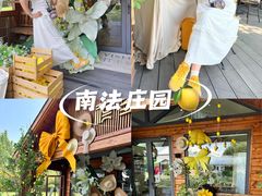 -禧宴Joyous Restaurant(禧园店)